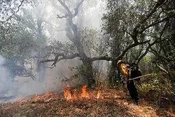 شناسایی عامل آتش سوزی در ارتفاعات خاییز