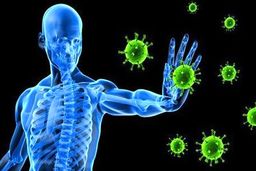 آلوده ترین قسمت بدن در شرایط کرونایی کجاست؟