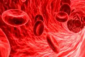 چگونه دچار سرطان نشویم؟