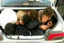 روایتی از پدیده شوم افغان‌کشی