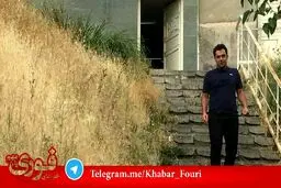 مجتهد زاده آزاد شد