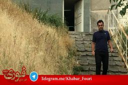 مجتهد زاده آزاد شد