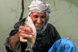 حق با‌ هامون است
