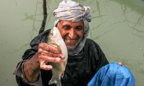 حق با‌ هامون است