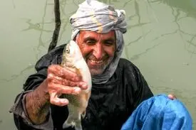 حق با‌ هامون است