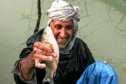 حق با‌ هامون است