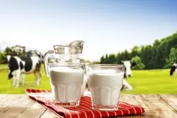 وجود وایتکس در شیر تکذیب شد