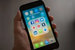 فحش بنویس، ۵ میلیون بگیر / درآمد ۲۰ میلیونی هشتگ زن‌ها در اینستاگرام