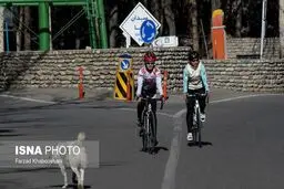 روایت‌های تکان‌دهنده از آزار دوچرخه‌سواران در جاده‌ها!