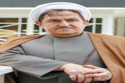 سرنوشت «زم»