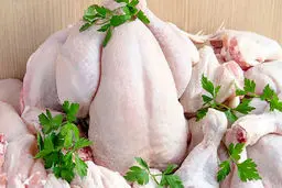 افزایش قیمت مرغ در بازار هم‌ سطح با نرخ دلار/ آیا جوجه کُشی‌های یک‌روزه عامل گرانی نرخ مرغ است