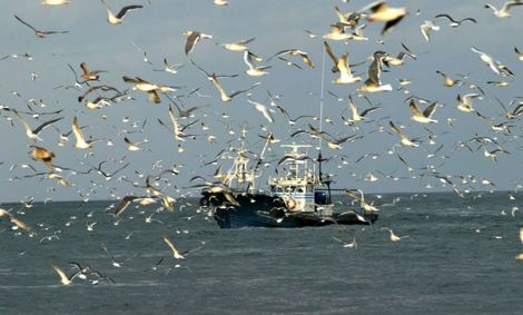 تیراندازی گارد ساحلی عربستان به صیادان بوشهری