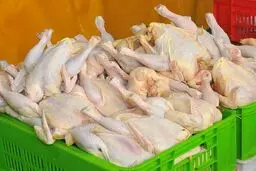 درخواست تجدیدنظر اساسی و فوری در قیمت اعلام‌شده مرغ