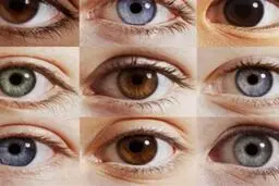 خصوصیات روانشناسی رنگ چشم‌های مختلف