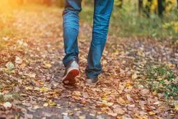 ۹ دلیل قانع کننده برای شروع پیاده‌روی