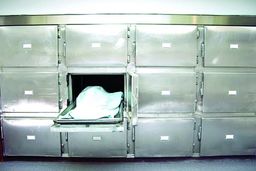 دفن «صنوبر» به جای یک بیمار کرونایی