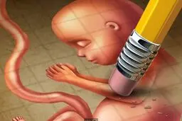 افزایش سقط‌ جنین از ترس کرونا