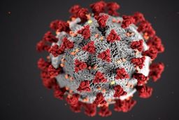 شیوع گونه جدیدی از ویروس کرونا در چین/مدارس پکن دوباره تعطیل شد