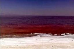 دریاچه نمک قم برای اولین بار سرخ شد