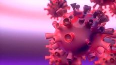 کرونای &#8220;تابستانه&#8221; به نفع ماست؟