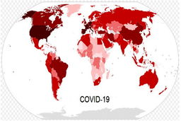 شناسایی بیشترین مبتلایان جدیدِ کووید-۱۹ در ماه ژوئن