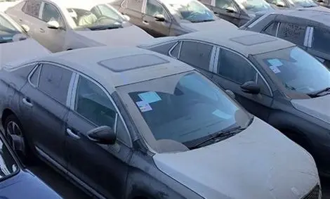 ۱۴۸۰ میلیارد تومان خودرو وارداتی در گمرکات کشور خاک می‌خورد