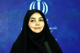 مشکلات نیروهای بهداشت در دست پیگیری است