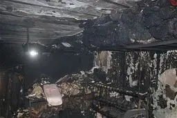 اعزام یک قلاده سگ زنده یاب هلال احمر به محل انفجار میدان قدس