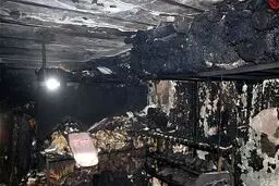 اعزام یک قلاده سگ زنده یاب هلال احمر به محل انفجار میدان قدس