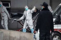 کووید-۱۹ تا پایان سال مهمان ما ایرانی‌هاست