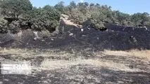 آتش‌سوزی منطقه حفاظت‌شده بوزین مرخیل پاوه مهار شد