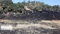 آتش‌سوزی منطقه حفاظت‌شده بوزین مرخیل پاوه مهار شد