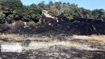 آتش‌سوزی منطقه حفاظت‌شده بوزین مرخیل پاوه مهار شد