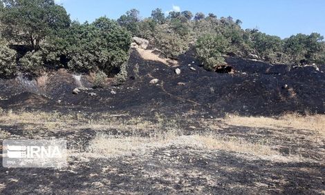 آتش‌سوزی منطقه حفاظت‌شده بوزین مرخیل پاوه مهار شد