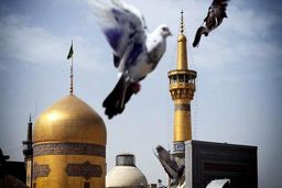 «بیا به بام خراسان، که بوی جان اینجاست»