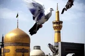 «بیا به بام خراسان، که بوی جان اینجاست»