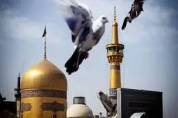 «بیا به بام خراسان، که بوی جان اینجاست»