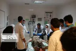 اسامی حادثه‌دیدگان معدن گیلانغرب اعلام شد