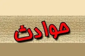 اثر انگشت قطع شده پای قولنامه!