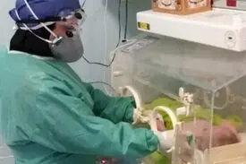کرونا جان نوزاد دو روزه را در گناباد گرفت / مادر ‌کودک ‌در عروسی شرکت کرده بود