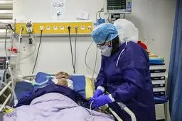 در دو مراسم جشن عروسی ۲۰۰ نفر به کرونا مبتلا شدند/ ۵ نفر فوت کردند!
