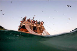 توقیف ۱۹ شناور صیادی متخلف در آب‌های خلیج‌فارس