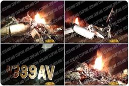 ارتش ونزوئلا یک هواپیمای آمریکایی را سرنگون کرد