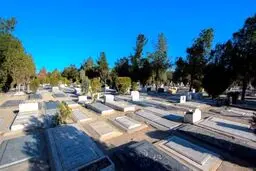 اتفاقی عجیب در یکی از قبرستان‌های کرج + عکس