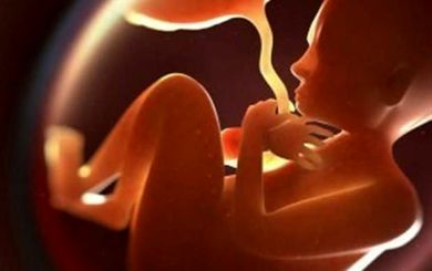 روزانه ۱۰۰۰ «جنین زنده» در کشور از طریق سقط توسط والدین کشته می‌شوند!/ سقط جنین ۲۰ برابر تلفات سوانح رانندگی کشور!