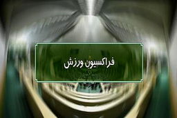 اعضای هیأت رئیسه فراکسیون ورزش انتخاب شدند