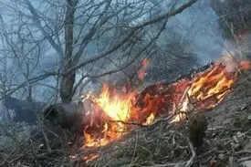 دستگیری ۲ نفر حین آتش زدن عمدی جنگل در گرگان