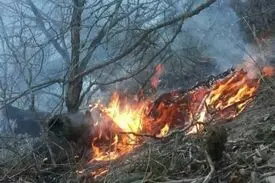 دستگیری ۲ نفر حین آتش زدن عمدی جنگل در گرگان