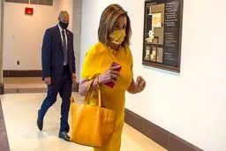 پلوسی کرونا را “ویروس ترامپ” نامید