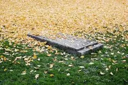 پس از مرگ چه اتفاقی برای جسم شما خواهد افتاد؟